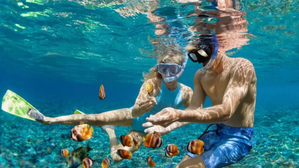 Full-Day Daymaniyat Islands Snorkeling Tour