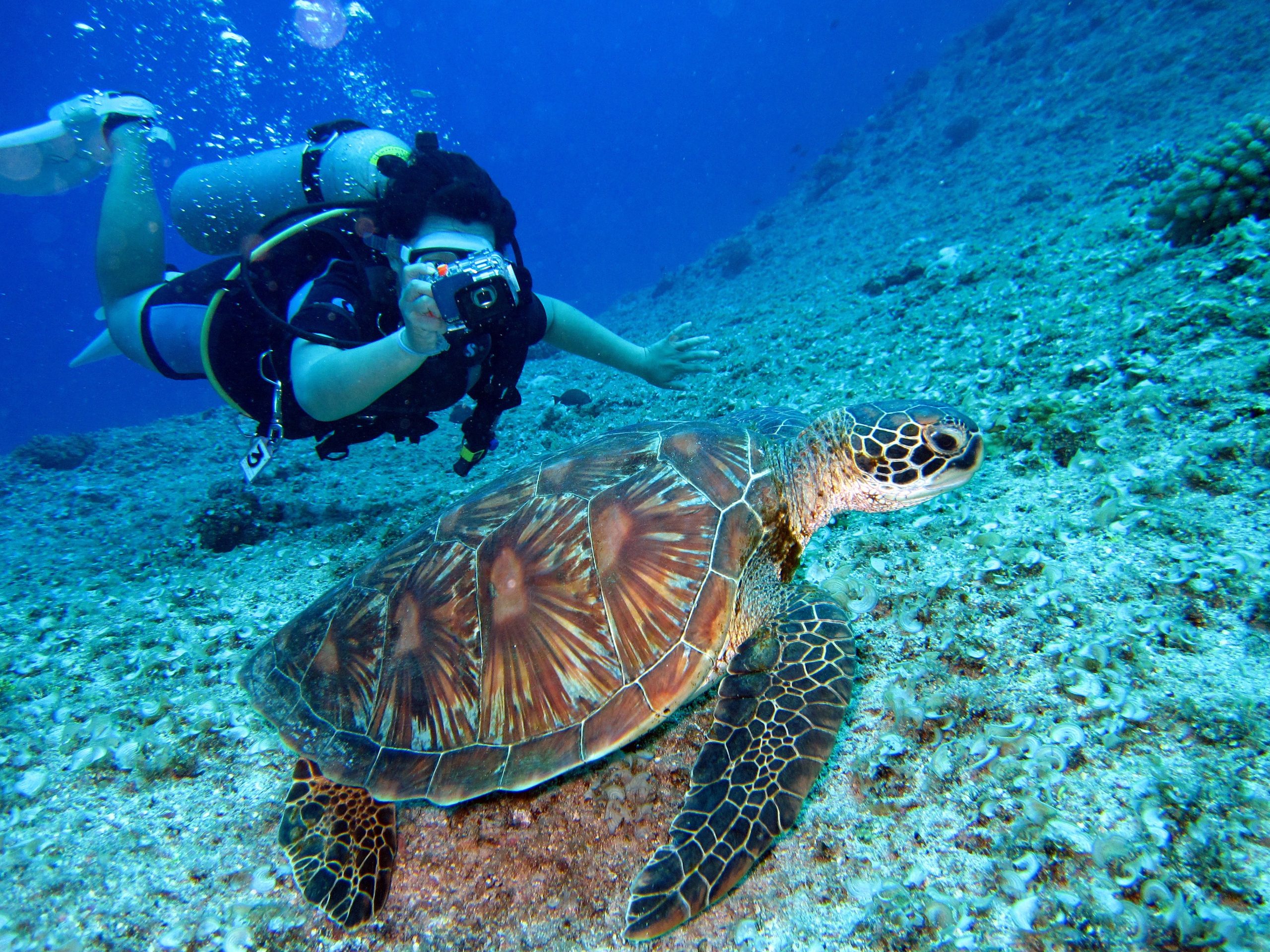 Are the Daymaniyat Islands Oman Truly the Maldives of the Middle East ?