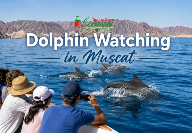 Dolphin Watching in Muscat | The Ultimate Guide to an Unforgettable Experience in Oman