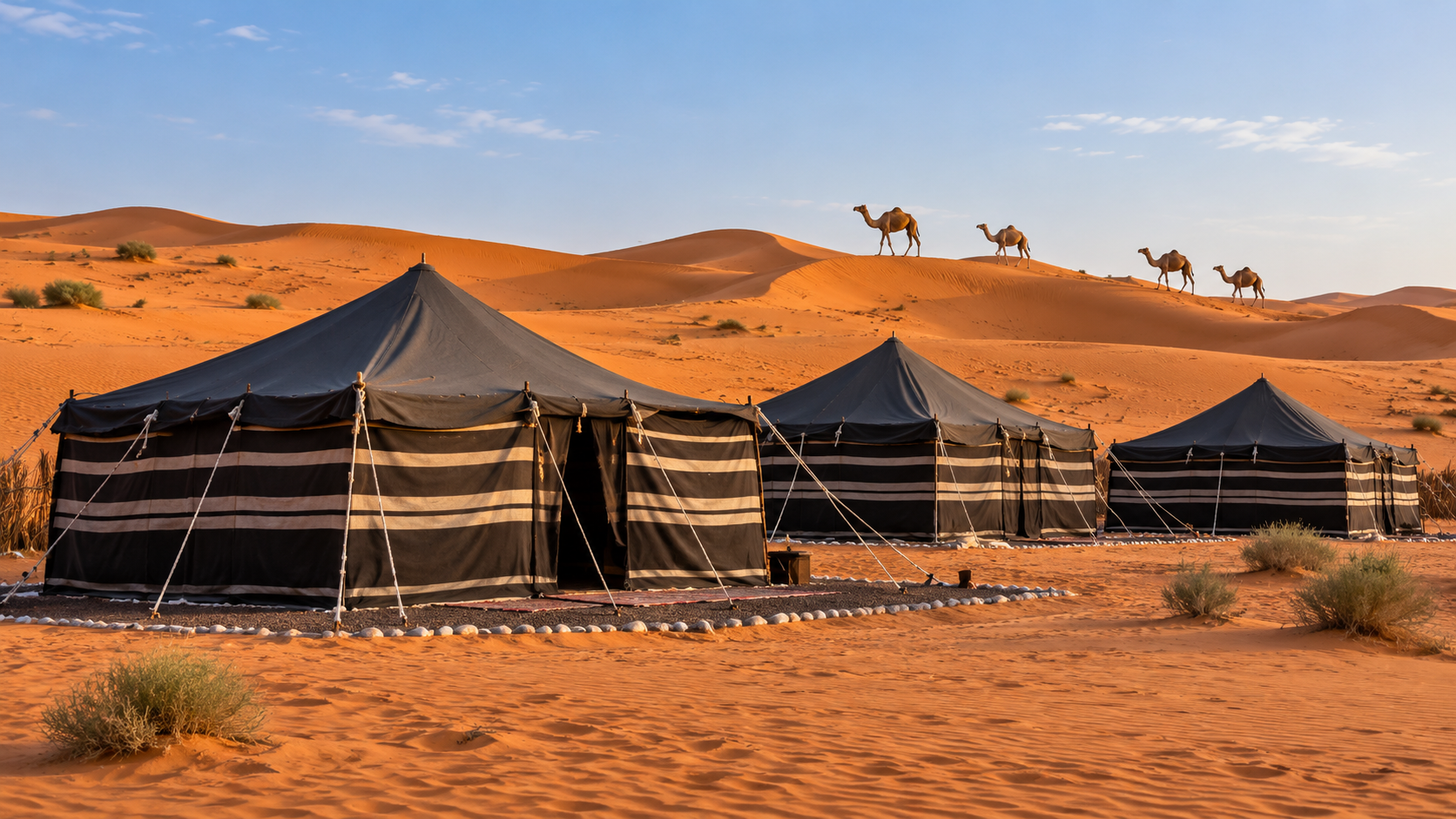 Wahiba Sands – Desert & Dunes - Photo 6